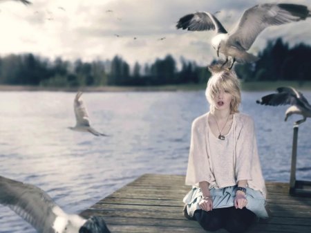 Море птицы девушка