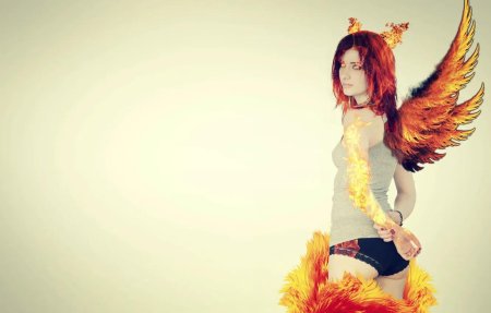 Огненное крыло