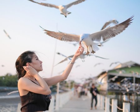 Девушка с птицей