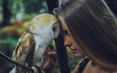 Сова сипуха