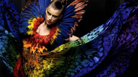 Александр маккуин птицы