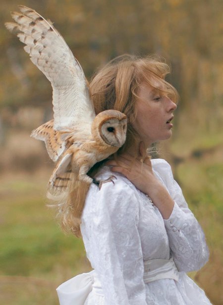 Сказочный фотограф катерина плотникова