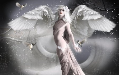 Белые ангелы