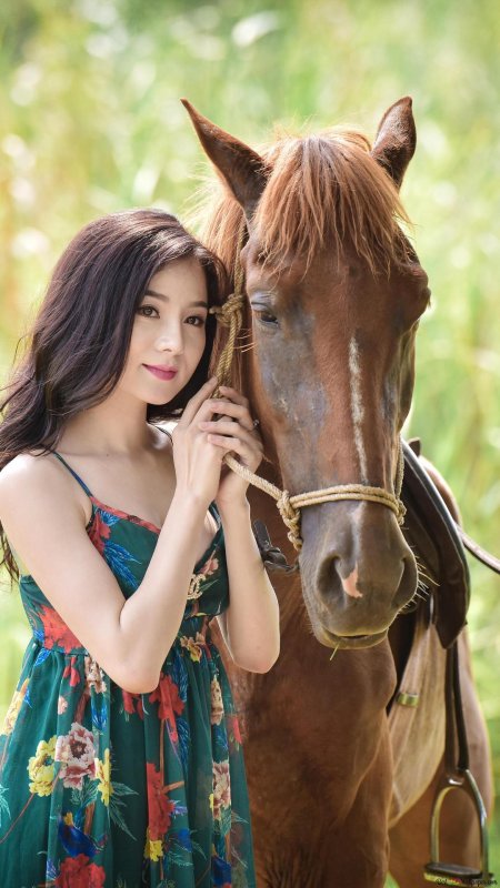 Лошадь с девушкой