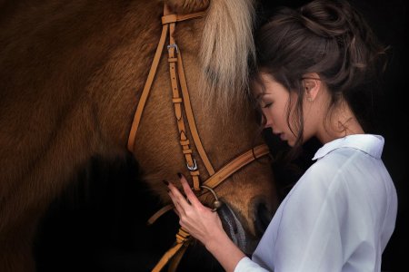 Лошадь и девушка