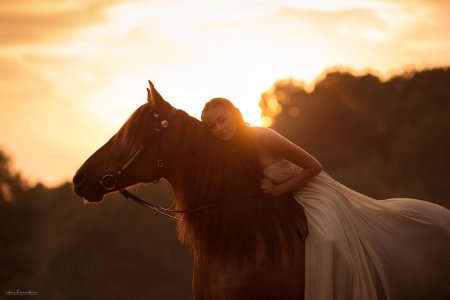 Девушка на лошади на закате