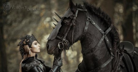 Дарья лефлер черный рыцарь