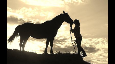 Лошадь с девушкой