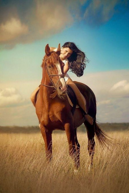 Лошадь и девушка