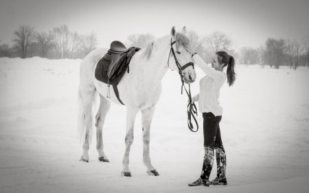 Фотосессия с лошадьми зимой