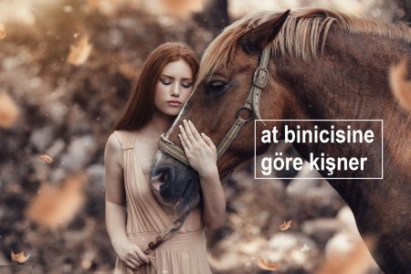 Девушка с лошадью