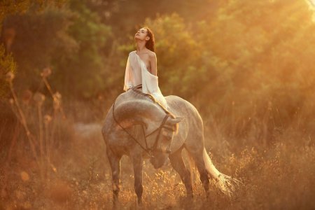 Девушка сидит на лошади