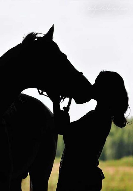 Лошадь с девушкой