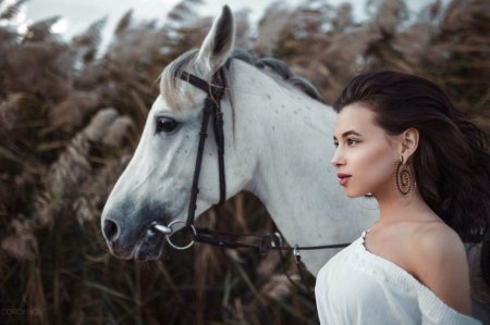 Фотосессии с лошадьми