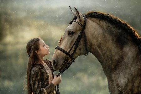 Фотосессии с лошадьми