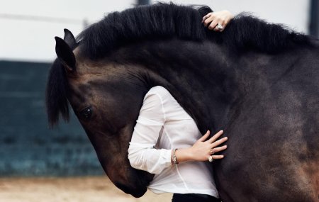 Фотосессии с лошадьми