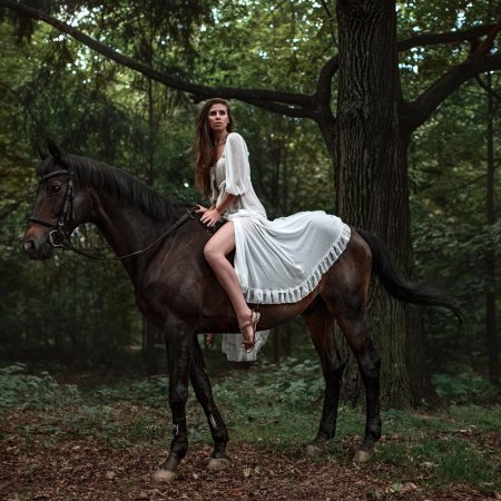 Фотосессии с лошадьми