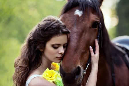 Девушка с лошадью
