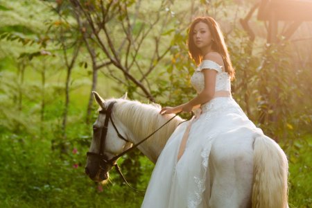 Девушка на коне