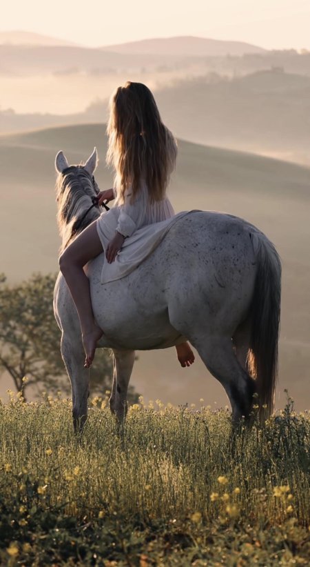 Лошадь и девушка