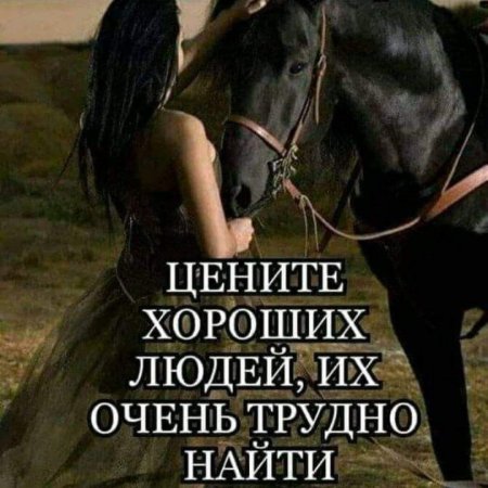 Девушка с лошадью