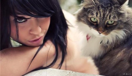 Девушка кошечка