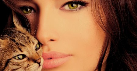 Девушка с кошками