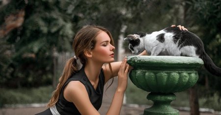 Девушка с кошками