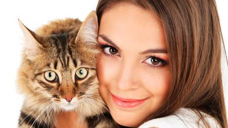 Кошка девушка