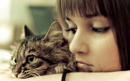 Девушка кошка