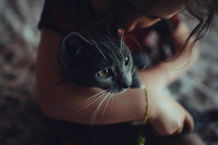 Девушка с котиком