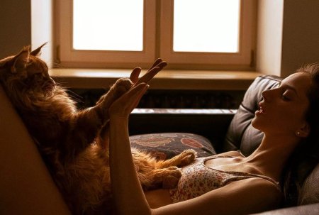 Кот девушка