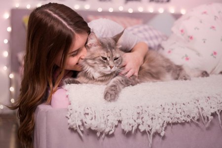 Девушки кошки