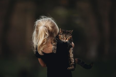 Девушка с кошками