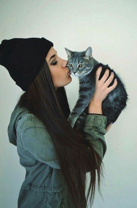 Кот девушка