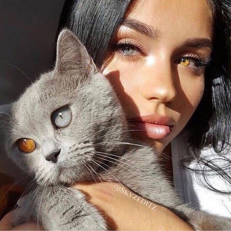 Красивая девушка с кошкой