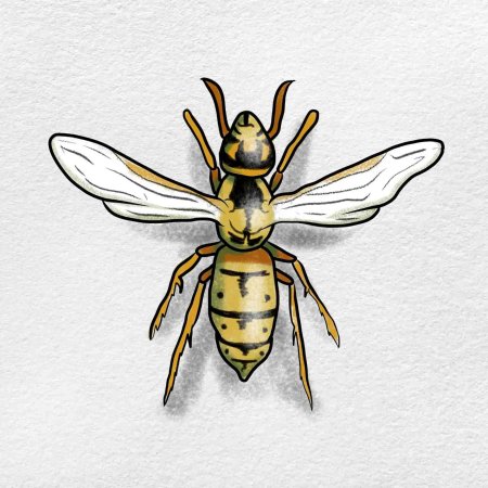 Шершень рисунок