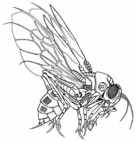 Тотем жалящий шершень