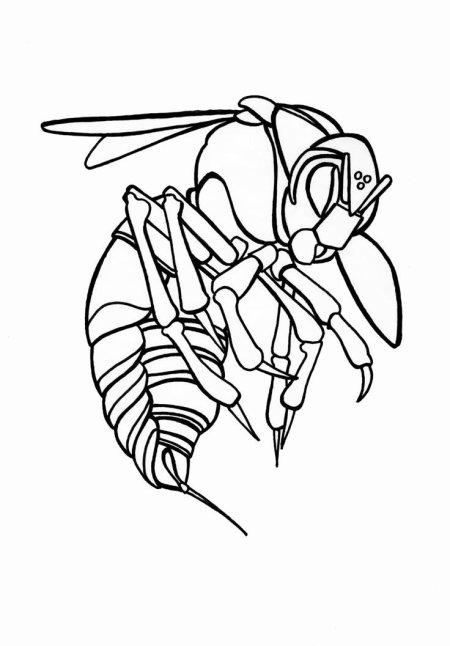 Рисунки пчел