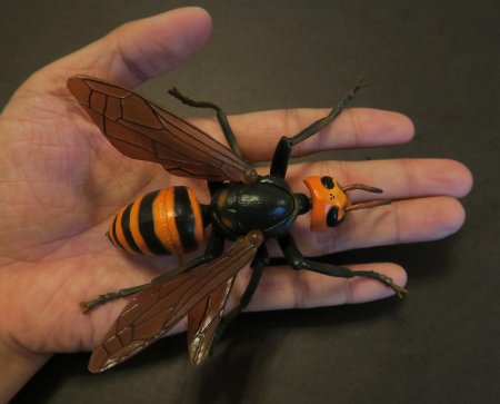 Vespa mandarinia шершень