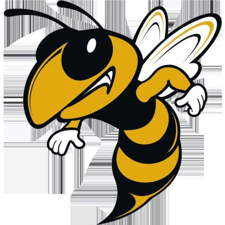 Хорнет пчела