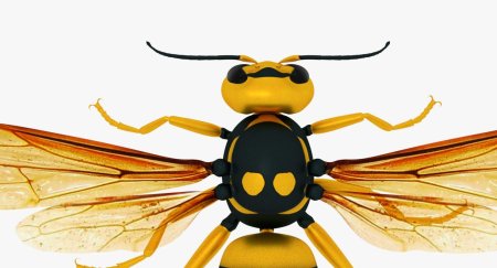 Vespa mandarinia шершень