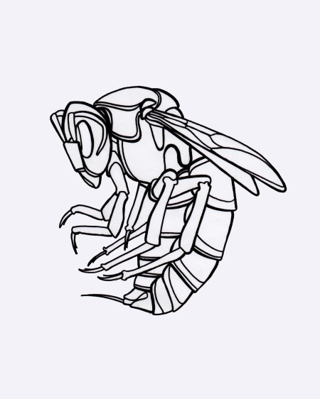 Рисунки пчел