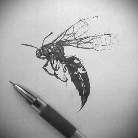 Эскизы насекомых