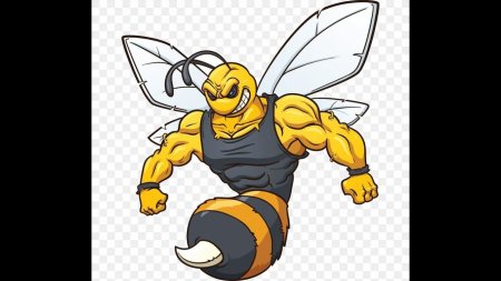 Хорнет пчела