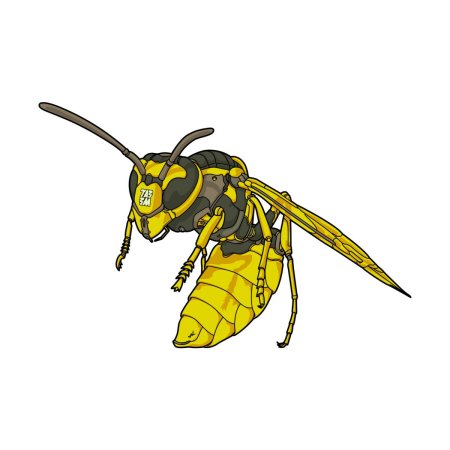 Пчела шершень