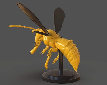 Executioner wasp оса