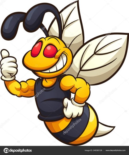 Шмель пчела оса шершень