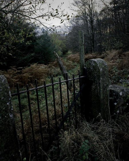 Заброшенное кладбище погост