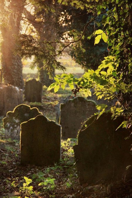 С кладбища